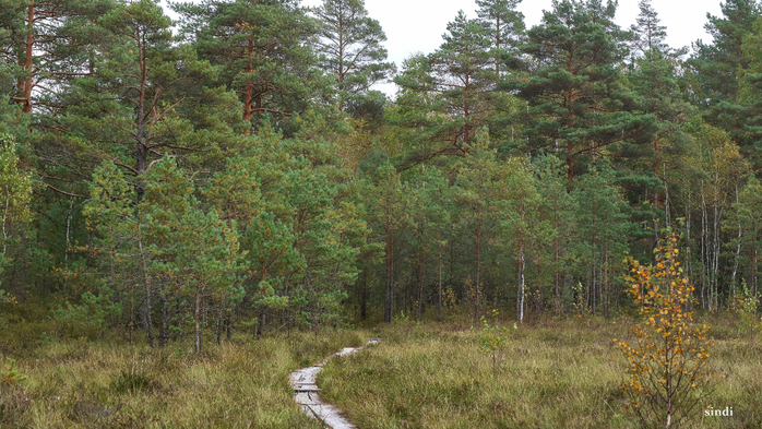 IMG_7345 (700x393, 453Kb)