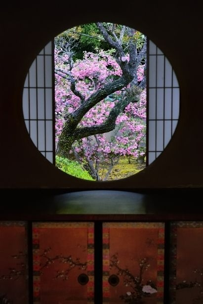 2 (411x615, 143Kb)