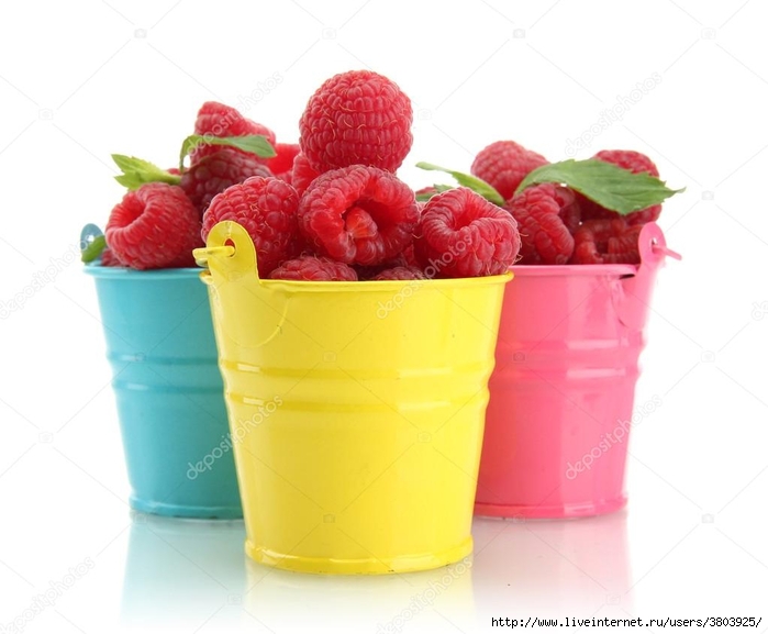 depositphotos_19022621-stock-photo-beautiful-raspberries-in-buckets-isolated (700x577, 169Kb)