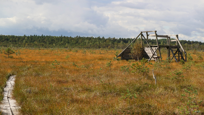 IMG_7339 (700x393, 386Kb)
