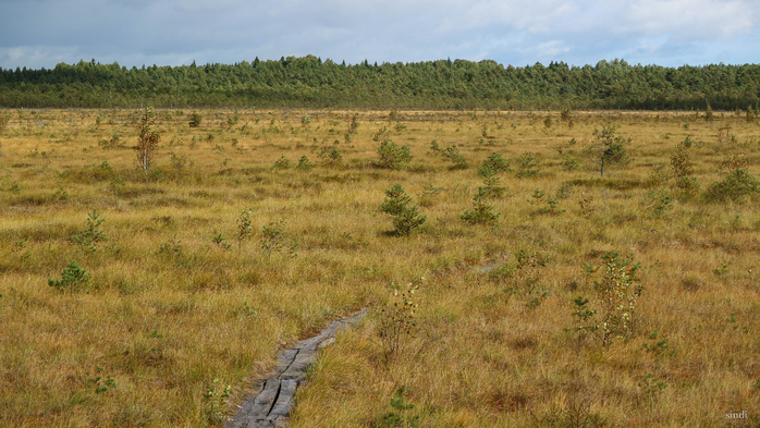 IMG_7340 (700x393, 401Kb)