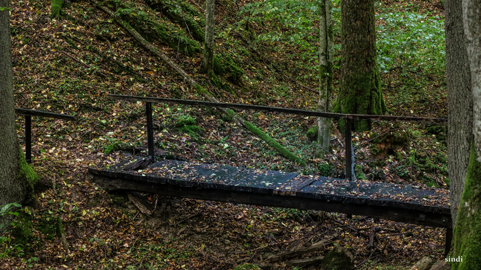IMG_7300 (700x393, 504Kb)
