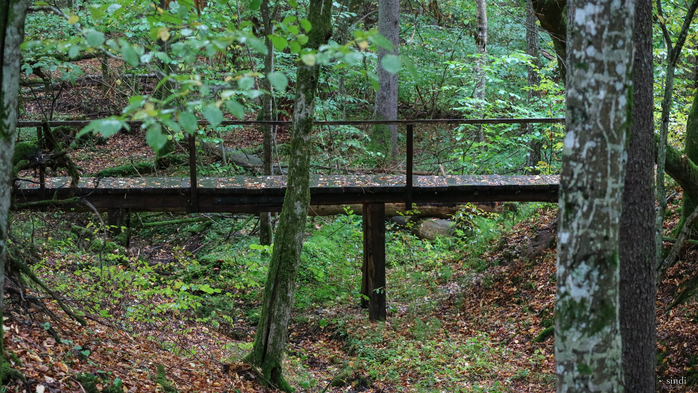 IMG_7304 (700x393, 488Kb)