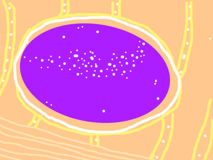 1-СП АВА (700x525, 104Kb)