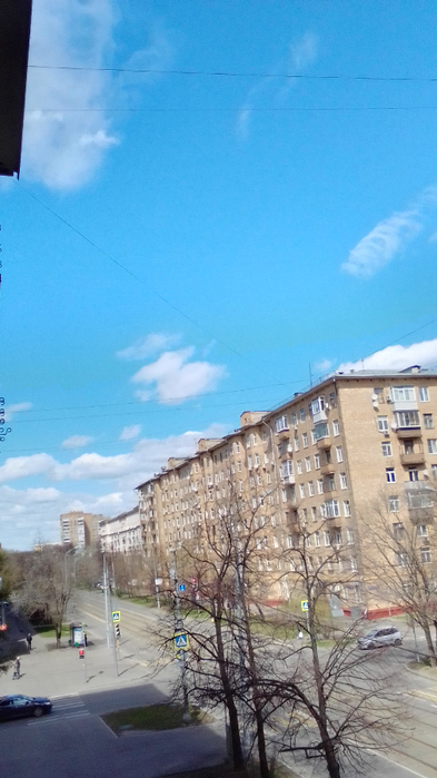 IMG_20200423_123429_HDR (393x700, 289Kb)