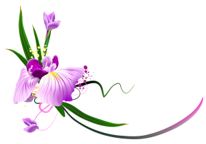 Beautiful_Purple_Floral_Decor_PNG_Clipart-300x209 (300x209, 34Kb)
