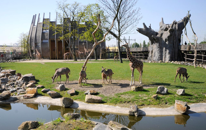 Zoopark-Blyaydorp (700x442, 395Kb)