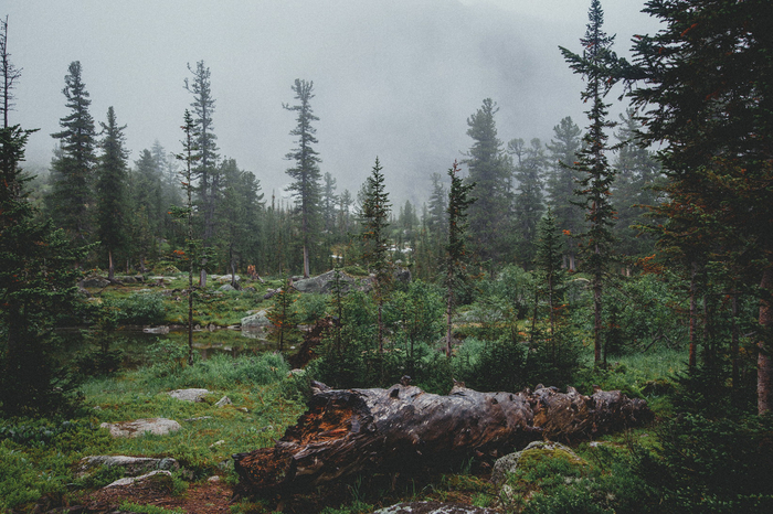 img-2872 (700x466, 452Kb)