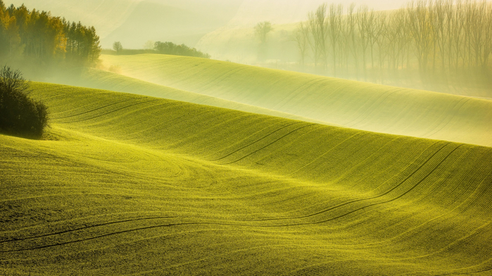 1 (11) (700x393, 371Kb)