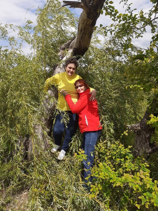 20200522_131719 (525x700, 203Kb)