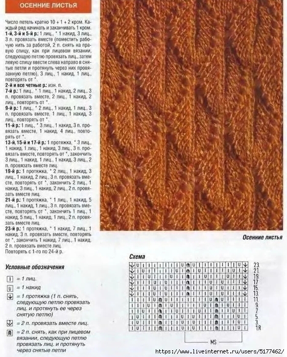 5177462_Image_48 (562x700, 363Kb)