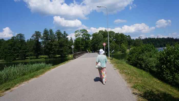 3434534_DSC08650 (700x393, 217Kb)