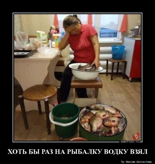 fullsize (7) (500x529, 43Kb)