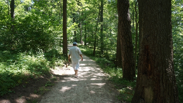 3434534_DSC08693 (700x393, 275Kb)