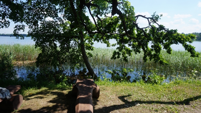 3434534_DSC08706 (700x393, 289Kb)