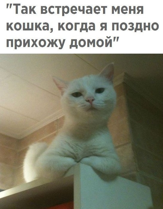 3416556_4ShlTsl2QV (546x700, 67Kb)