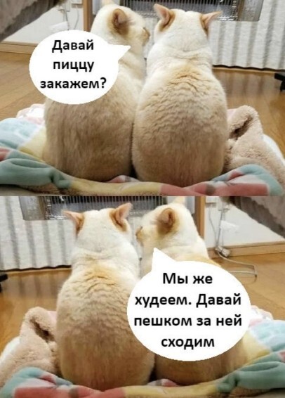 3416556_i_9_ (406x566, 59Kb)