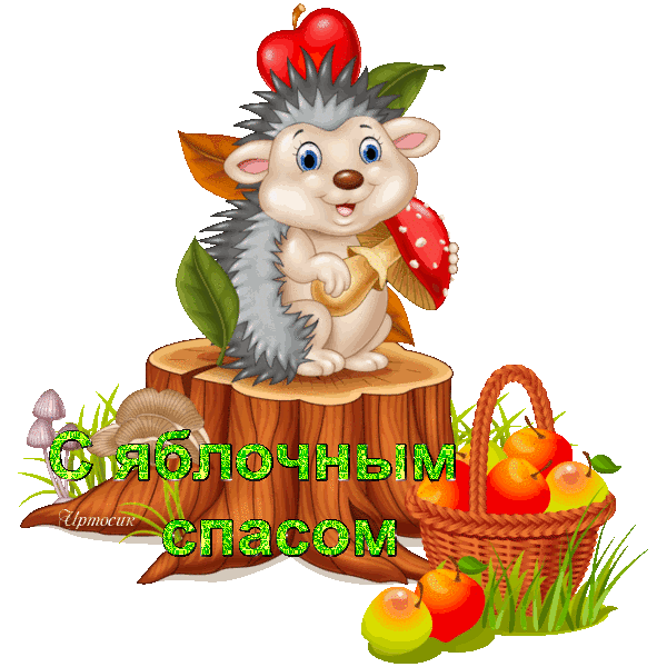 д5 (600x600, 268Kb)