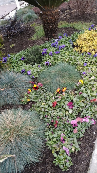 IMG-20200224-WA0024 (393x700, 183Kb)