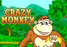 2516-crazy-monkey (235x165, 60Kb)