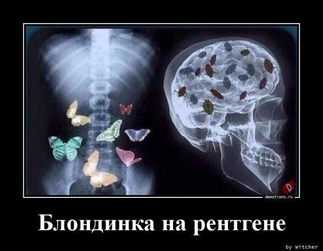 fullsize (13) (640x497, 46Kb)