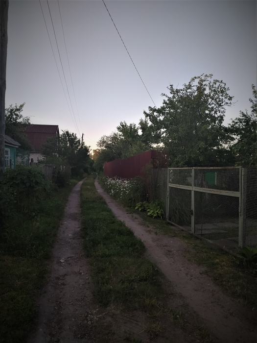 4334329_prpr25 (525x700, 225Kb)
