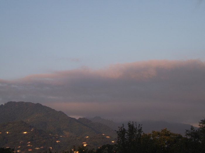 DSCF8830 (700x525, 184Kb)