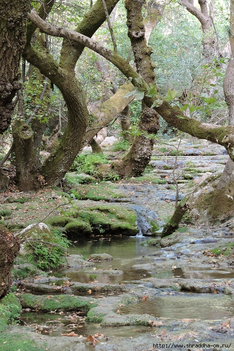 Turgut Şelalesi, Turgut Falls, , Shraddhatravek 2020 (11) (1) (466x700, 432Kb)