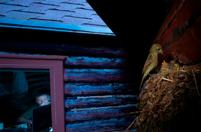 фото Alex Badyaev, Россия-США (640x421, 83Kb)