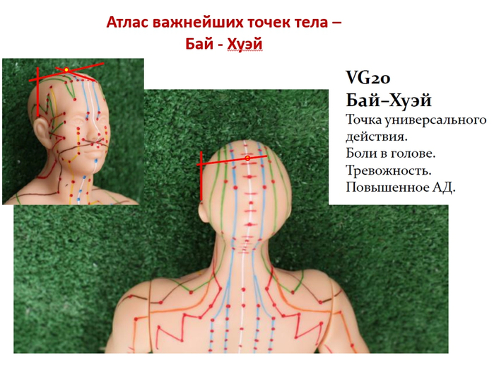 Атлас важнейших точек тела человека - наследие для исцеления  С - голова и шея!1 (700x516, 317Kb)