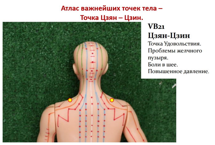 Атлас важнейших точек тела человека - наследие для исцеления  С - голова и шея!4 (700x472, 274Kb)
