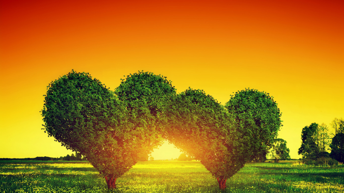 love-tree-heart-green-sunset (700x393, 354Kb)