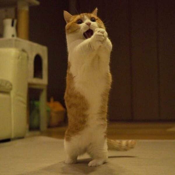 а мне маску (600x600, 29Kb)