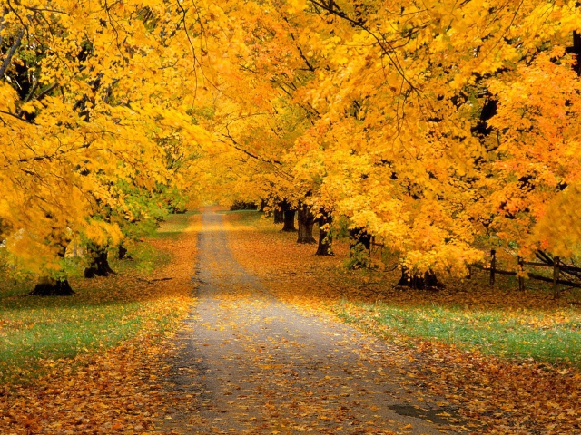 Nature___Seasons___Autumn 1 (640x480, 605Kb)