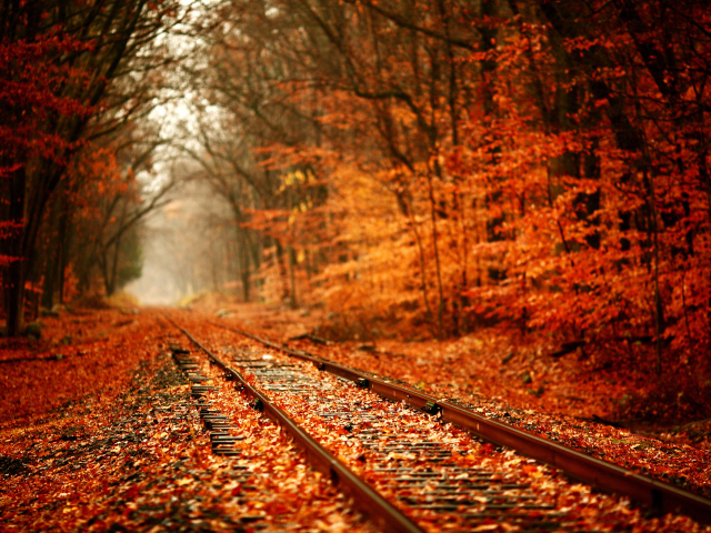Nature___Seasons___Autumn 2 (640x480, 508Kb)