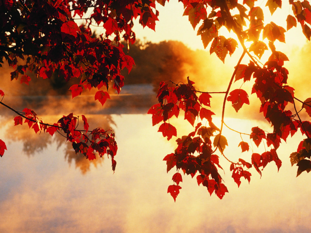 Nature___Seasons___Autumn 22 (640x480, 401Kb)