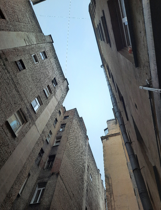 20201128_132847 (538x700, 446Kb)
