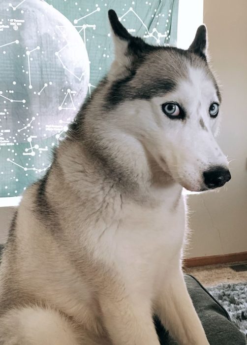 я обиделся, укор (502x700, 53Kb)