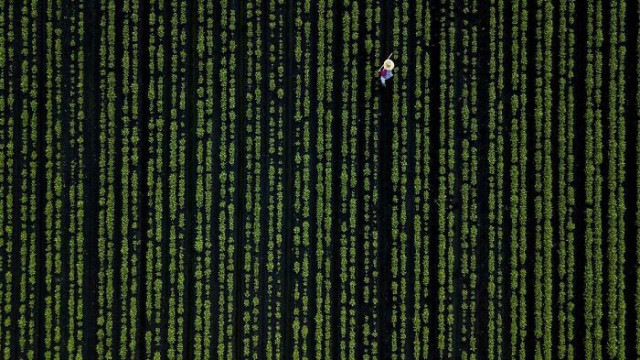 1607678409_okazalos-pokazalos-5 (640x360, 249Kb)