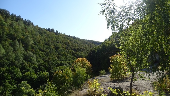 DSC06552 (700x394, 139Kb)