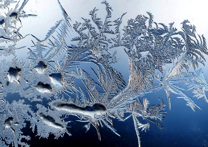 мороз рисует на стекле 14 (700x494, 463Kb)