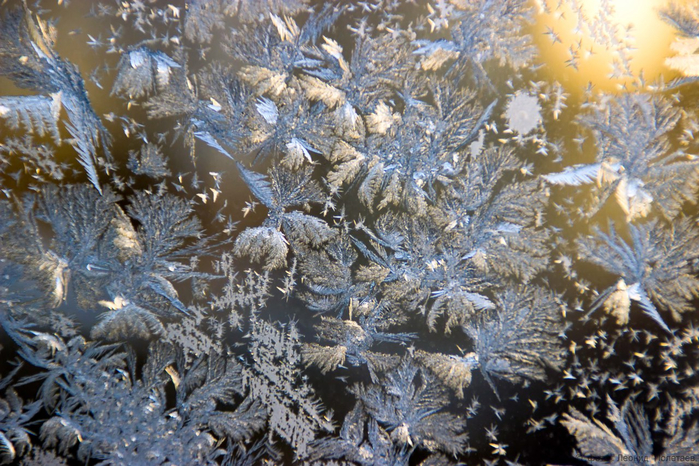 мороз рисует на стекле 25 (700x466, 510Kb)