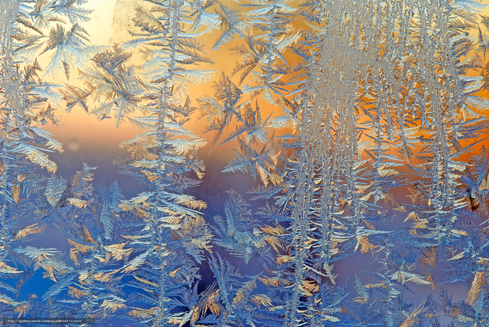 мороз рисует на стекле 27 (700x468, 678Kb)