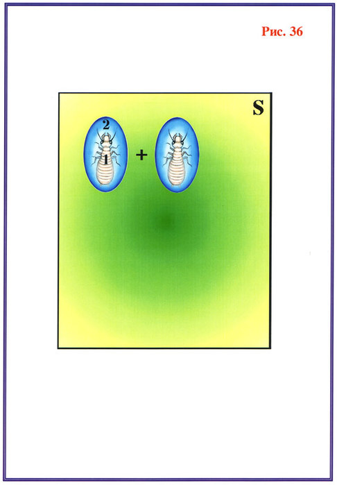 Fig-36 (486x700, 44Kb)