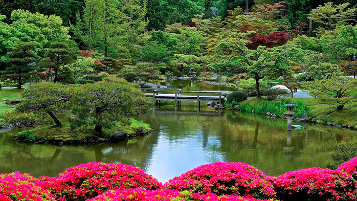 японский сад в Сиэтле 9 (700x393, 559Kb)