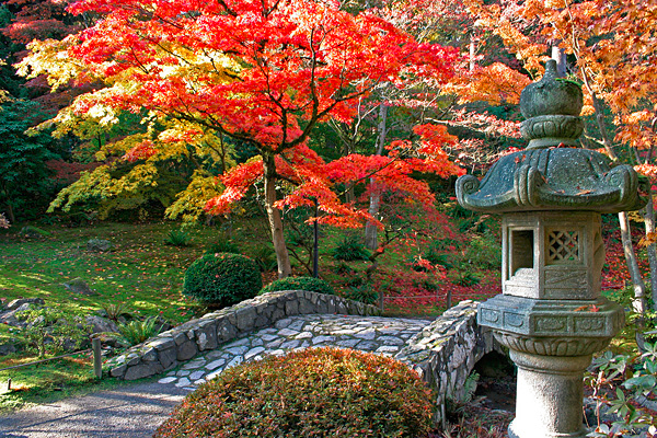 японский сад в Сиэтле 15 (600x400, 616Kb)