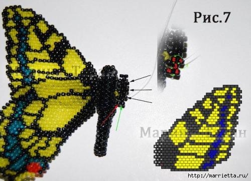 Бисер. Бабочка махаон или мозаичное плетение (15) (500x361, 109Kb)