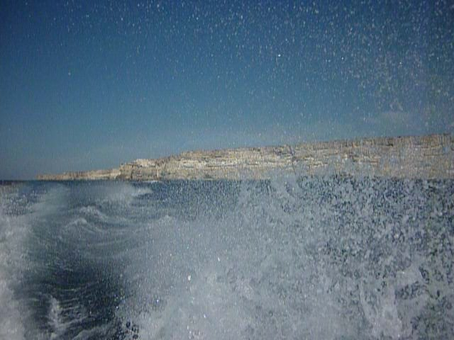 P1080524 (640x480, 181Kb)