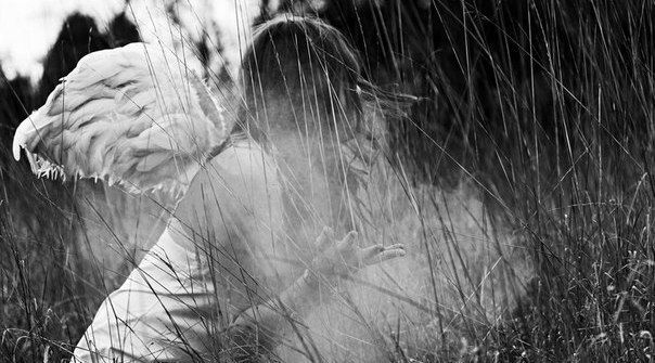4208855_P1TqGDm1Ow8 (604x335, 63Kb)