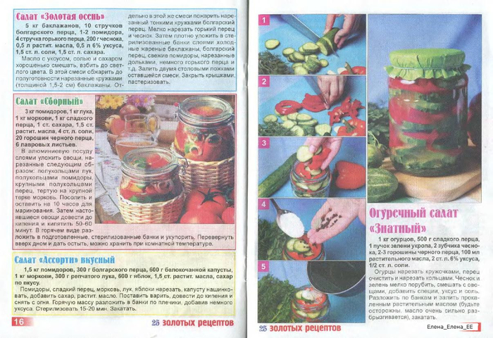 Image00098 (700x480, 403Kb)